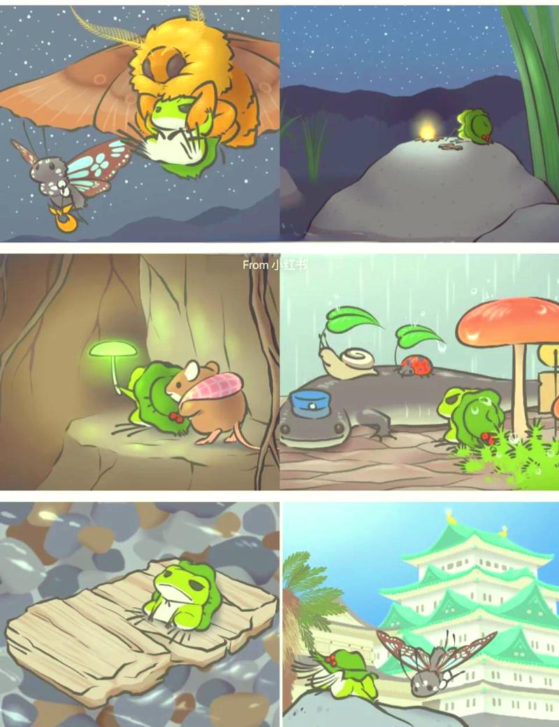 青蛙旅行不出门一直宅家怎么办？试试这个方法超管用！