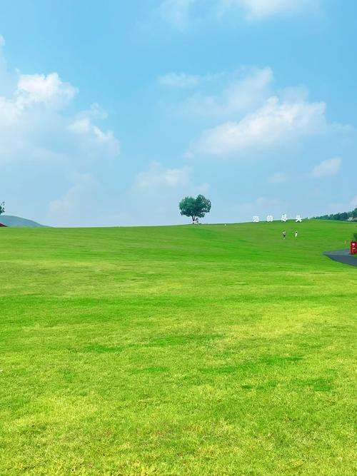 现实中有没有青青草原?国内这3个超美地方像极了!