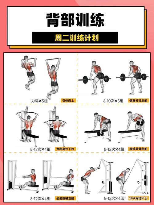天天健身，有哪些简单动作适合新手在家做？