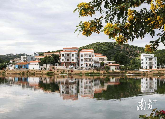 本地人都用龚州网吗？看看这个平台好不好用，真实评价告诉你！