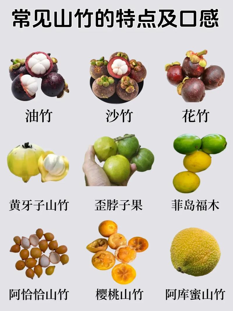 莽吉柿怎么吃才正确？教你轻松剥开尝到美味果肉！