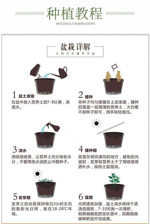 黑泥草的种植方法和技巧？掌握这几点新手也能成功丰收！