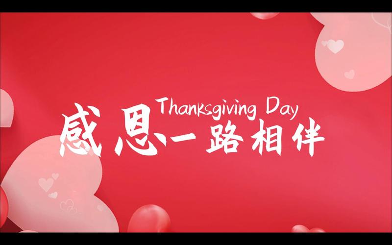 感谢你给我简单的陪伴和温暖这首歌哪里听？免费在线平台试听指南