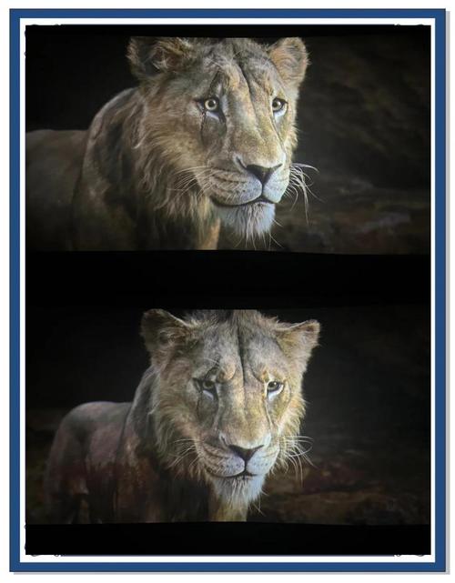 刀疤鼠值得看吗？豆瓣9分经典电影带你重温童年！