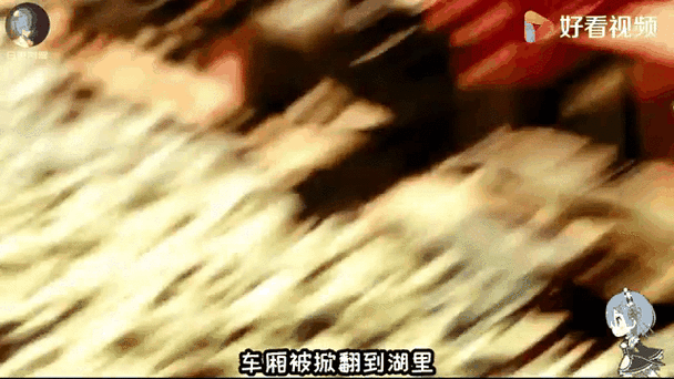 麻匪动态壁纸透视文件怎么下载？免费获取详细安装步骤！