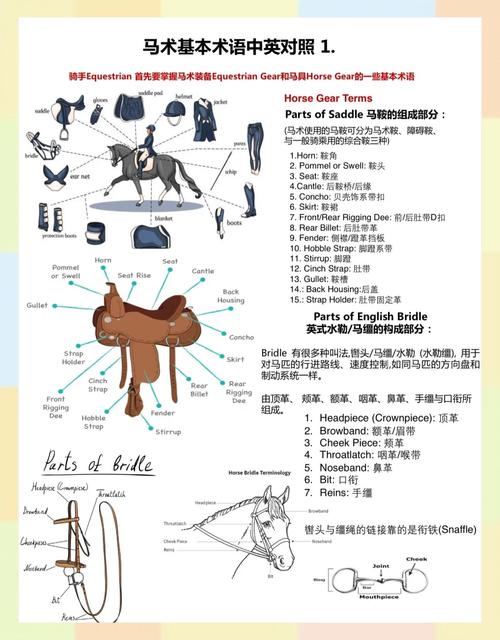 术士马任务有啥技巧？专家分享实用秘籍！