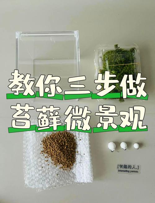 新手如何使用哀伤苔？老玩家提醒你不要犯的4个错误！