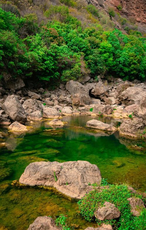 寻找水边缘的最佳观赏点位在哪里？资深玩家告诉你隐藏秘境