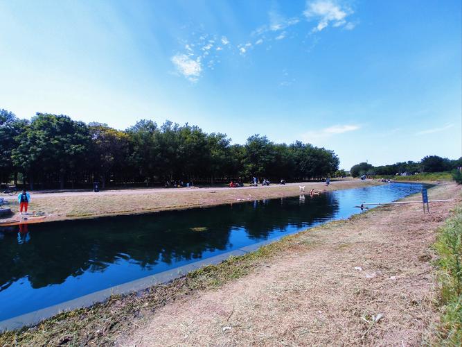 寻找水边缘的最佳观赏点位在哪里？资深玩家告诉你隐藏秘境