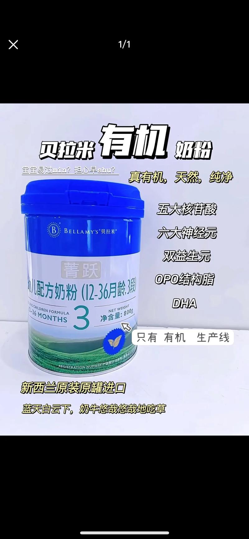 贝拉密的宝藏是真的吗？这艘沉船里到底有什么？