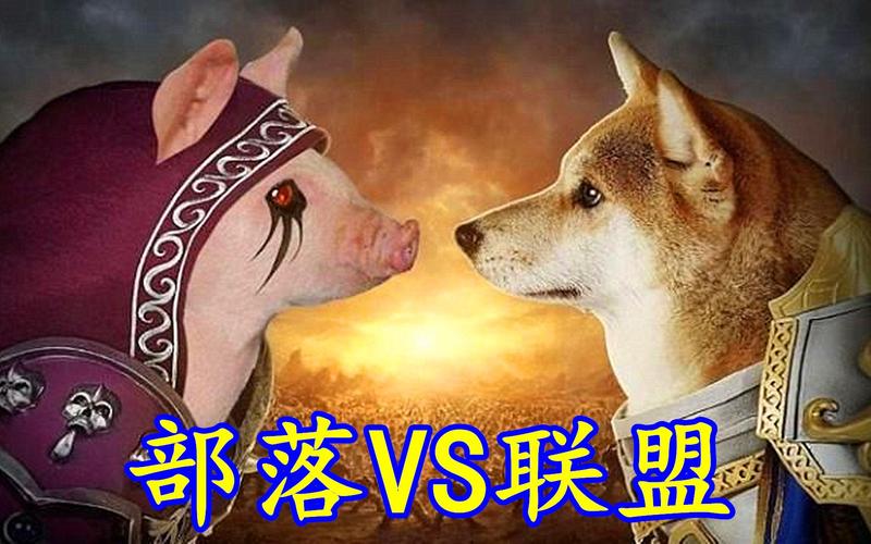 联盟和部落有什么区别？(新手必看的详细对比解析！)