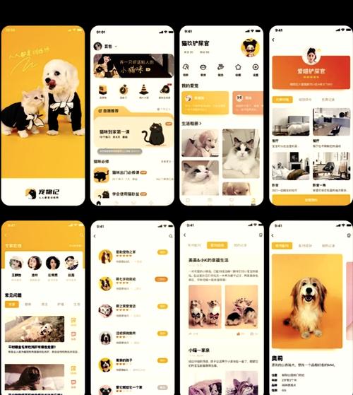 淘宠物哪个平台最靠谱？这几个领养APP口碑最好！