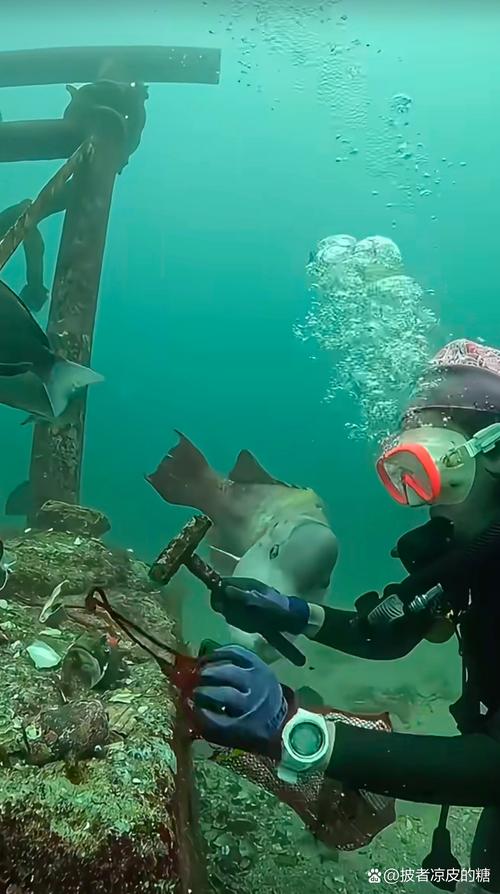 现实中的“海底猎人”是谁？他们如何捕猎深海巨兽？