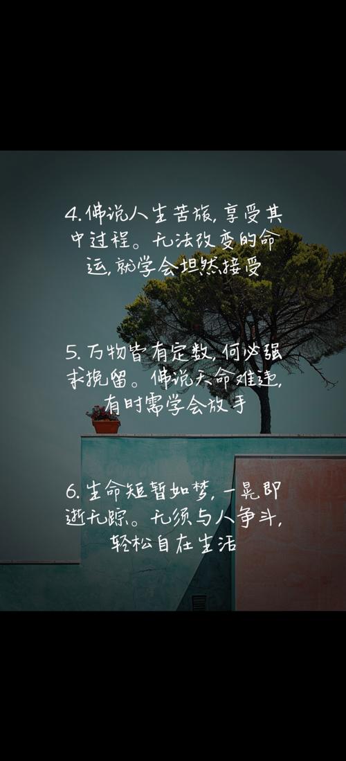 聊聊此去半生的意义是什么？别让人生白白浪费！