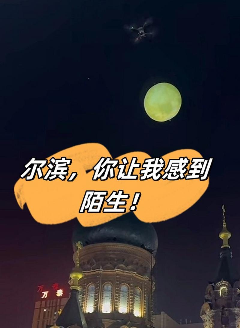 “尔滨你让我感到陌生”是什么梗怎么玩？(趣味用法教程分享)