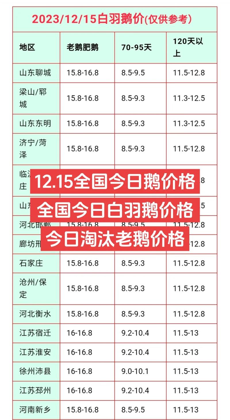 一只网红鹅价格多少钱？专家揭秘市场真实行情！