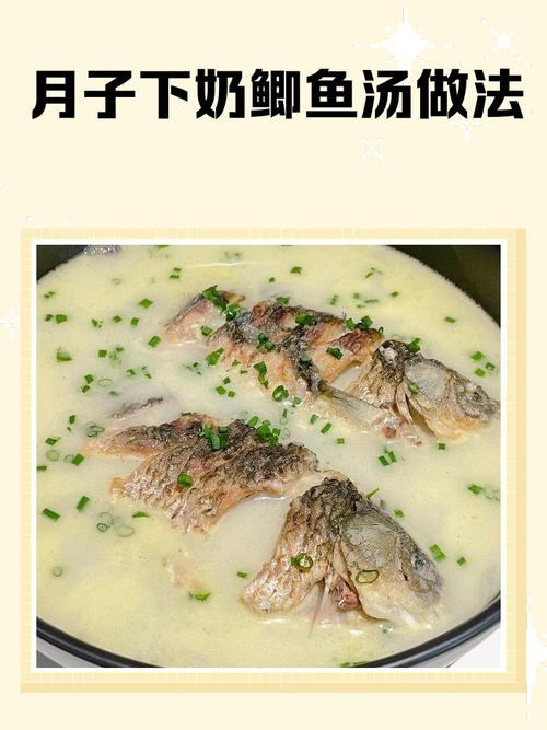 牛奶鱼群汤适合啥时候喝？不同时段有讲究！