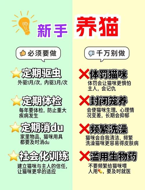 使用种子猫安全吗会不会泄露隐私？老用户告诉你真相！