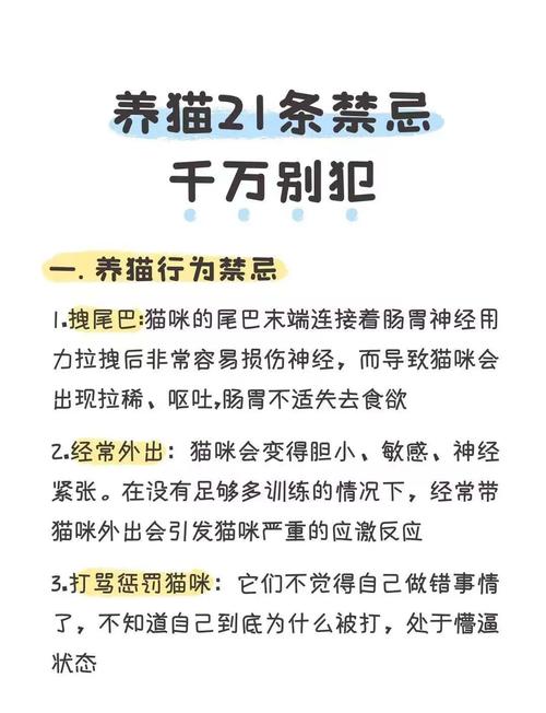 使用种子猫安全吗会不会泄露隐私？老用户告诉你真相！