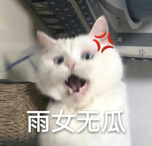 用雨你无瓜回复别人真的礼貌吗？学会这样回情商更高！