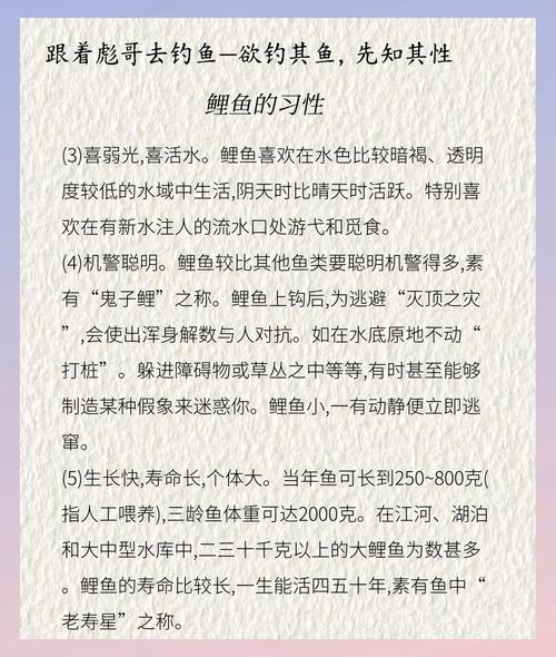 为什么说“生活有鱼”是一种智慧？轻松实现财务自由的秘密。