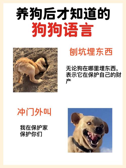 网络幽狗到底是什么意思？一篇文章为你彻底讲清楚！