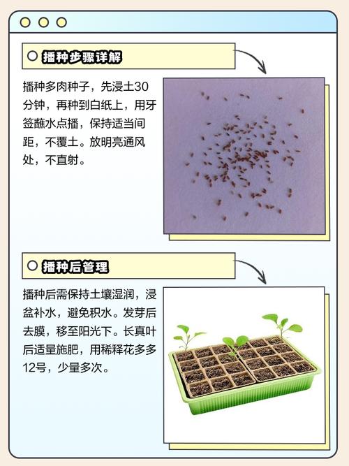 种子你懂得，种植时把握这几点轻松高产！