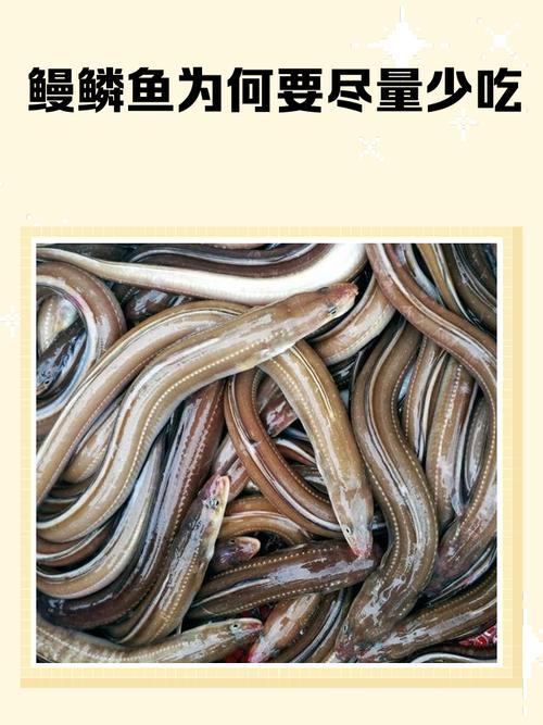 石鳞鳗是什么鱼？详细介绍它的习性与生活环境！