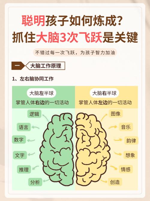 成为一名脑力达人有哪些好处？看完这几点你就明白了！
