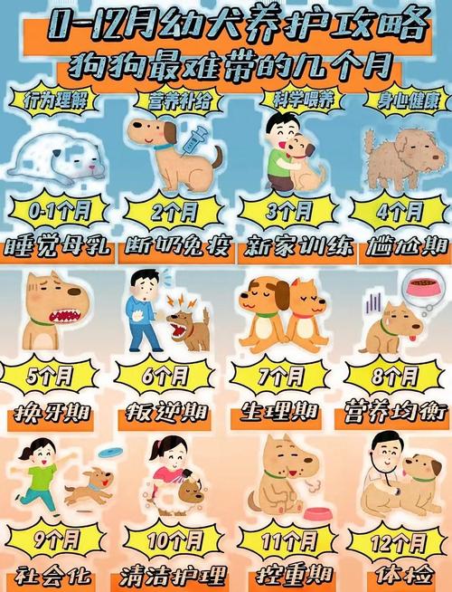 萌犬变变变有啥秘诀？掌握这几点轻松通关