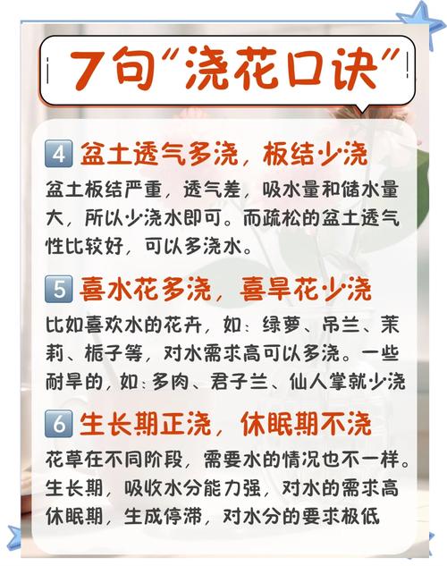 养殖花中西施的技巧有哪些？记住这几点新手也能成功！