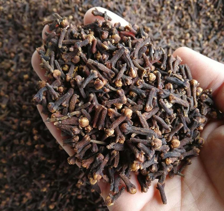 古代口香糖是什么做的？揭秘古人的神奇洁牙方法！