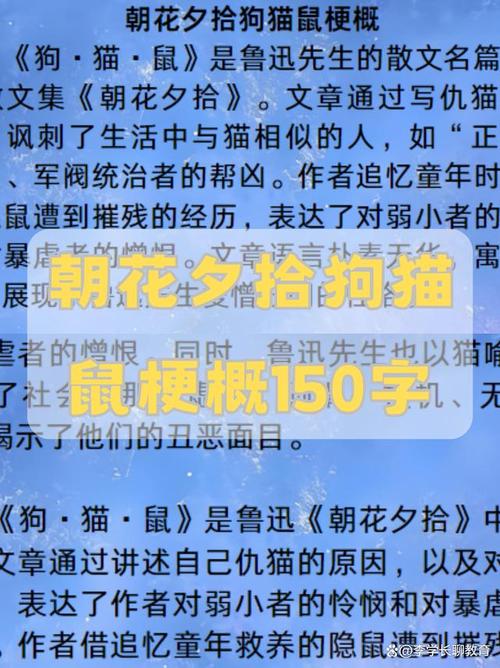 路遥的吃猫鼠到底讲了啥？看完分析才知道它多厉害！