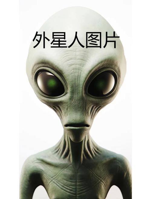 谁是外星人？盘点那些疑似外星生物的神秘存在