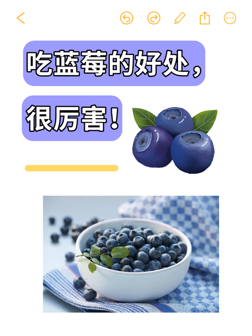 蓝浆果虽然营养高但要注意！这几类人群最好不要多吃！