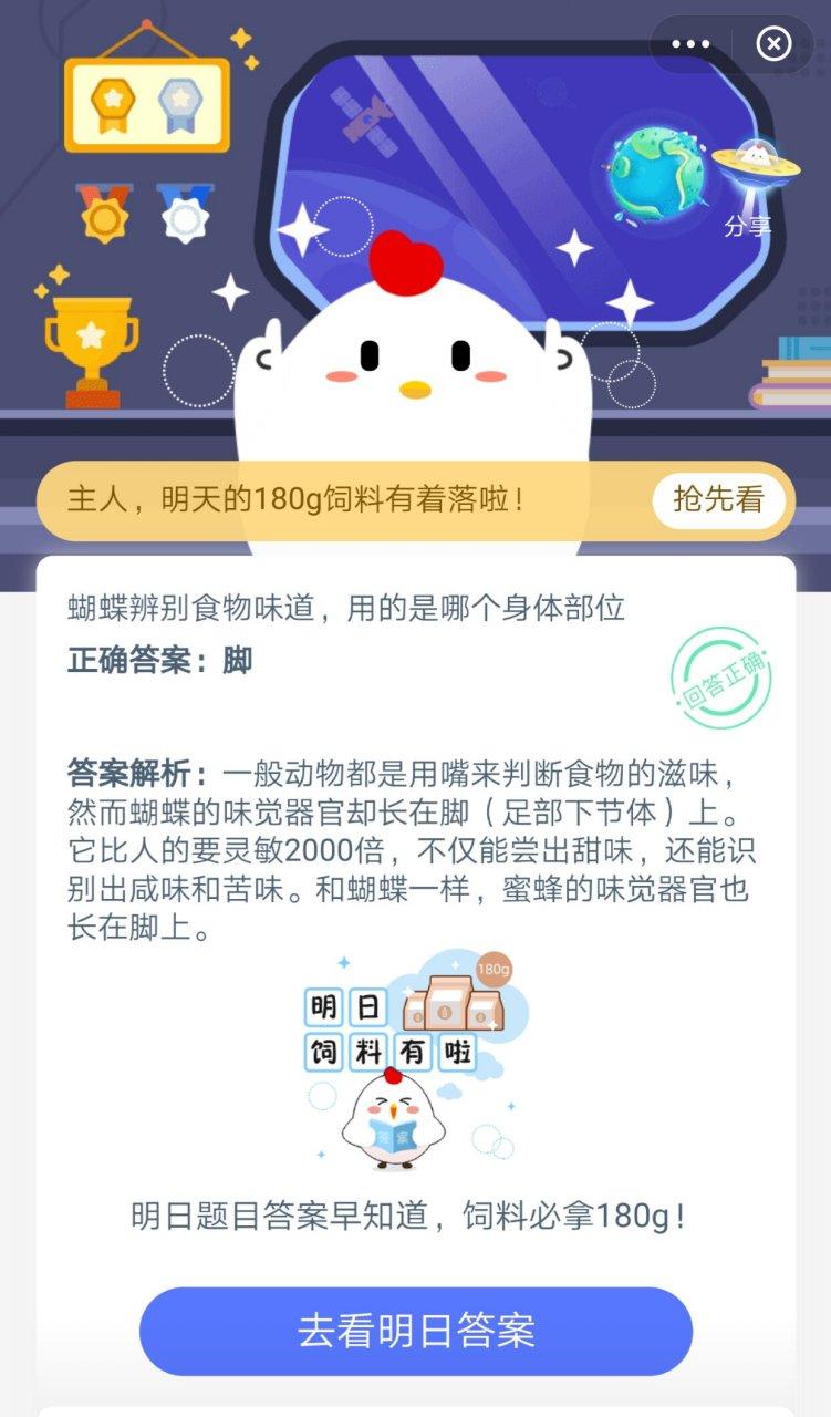 蝴蝶如何辨别食物味道？身体这关键部位真神奇！