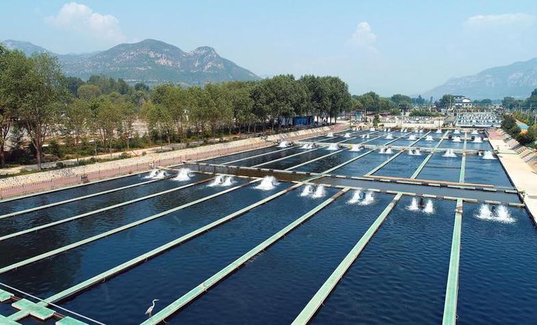 河北昌黎县渔业的支柱产业是什么？昌黎扇贝养殖成渔民金饭碗