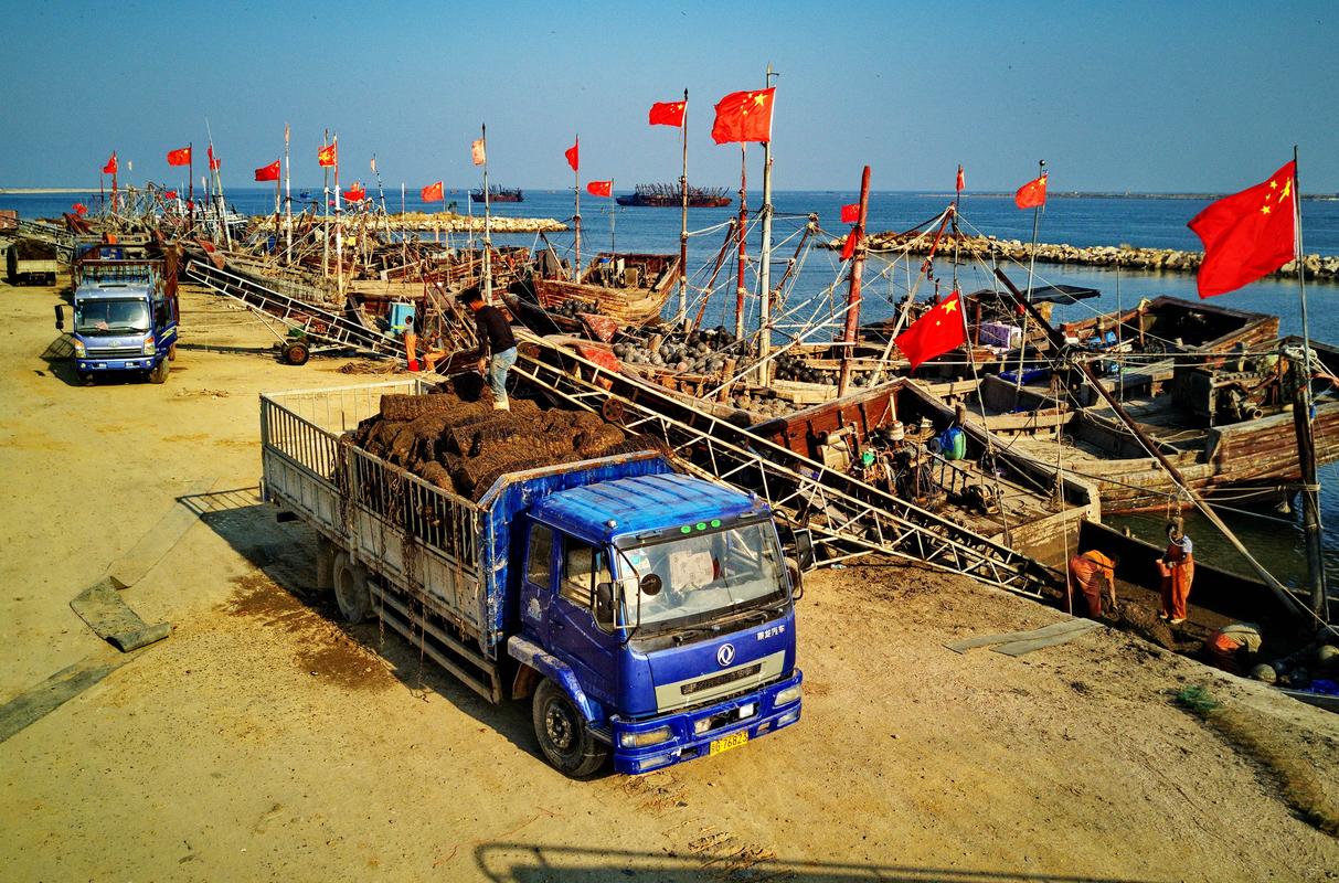 河北昌黎县渔业的支柱产业是什么？昌黎扇贝养殖成渔民金饭碗