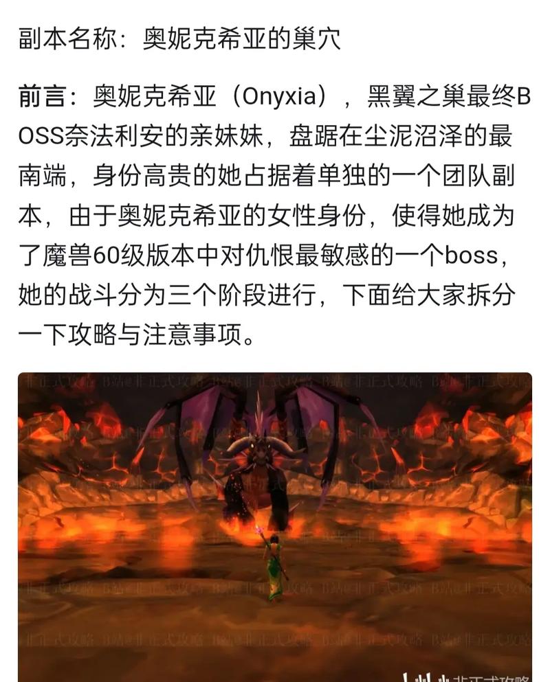 黑龙公主套在哪买？这几个渠道别错过