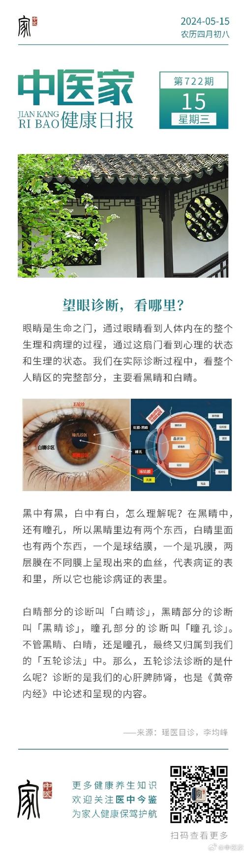 全视之眼剧情深度解析：看完这篇你就全明白了！