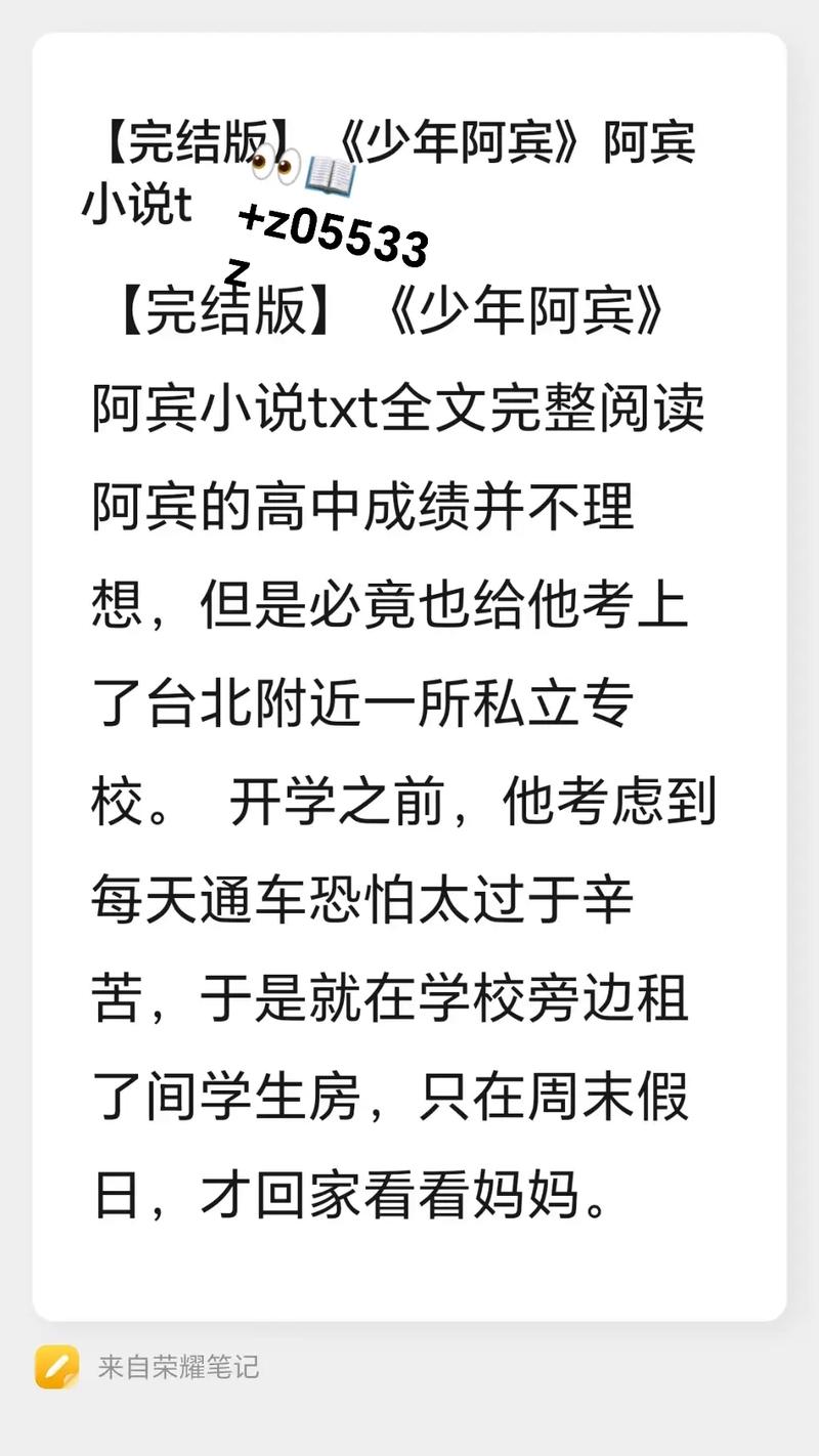 如何访问少年阿宾小说官网的实用教程