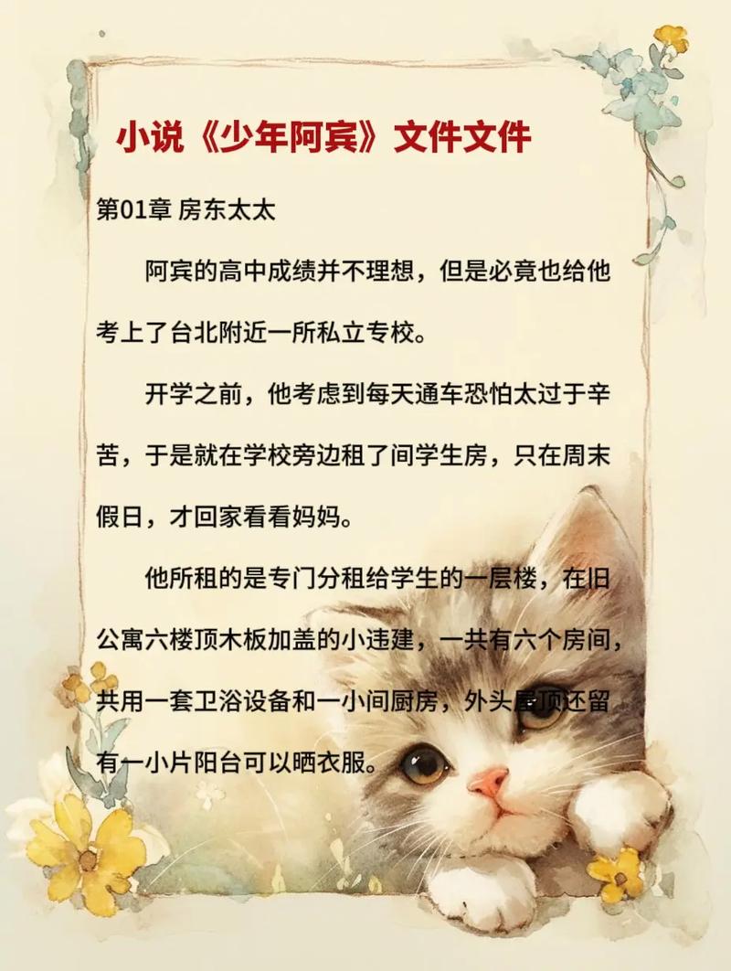如何访问少年阿宾小说官网的实用教程