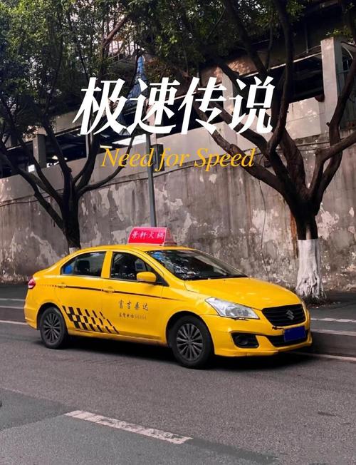 深入分析：成为出租车司机安卓汉化的魅力与挑战