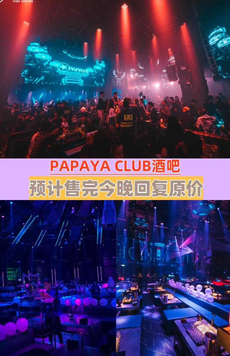 PAPA酒馆版本大全：全面解析与应用策略