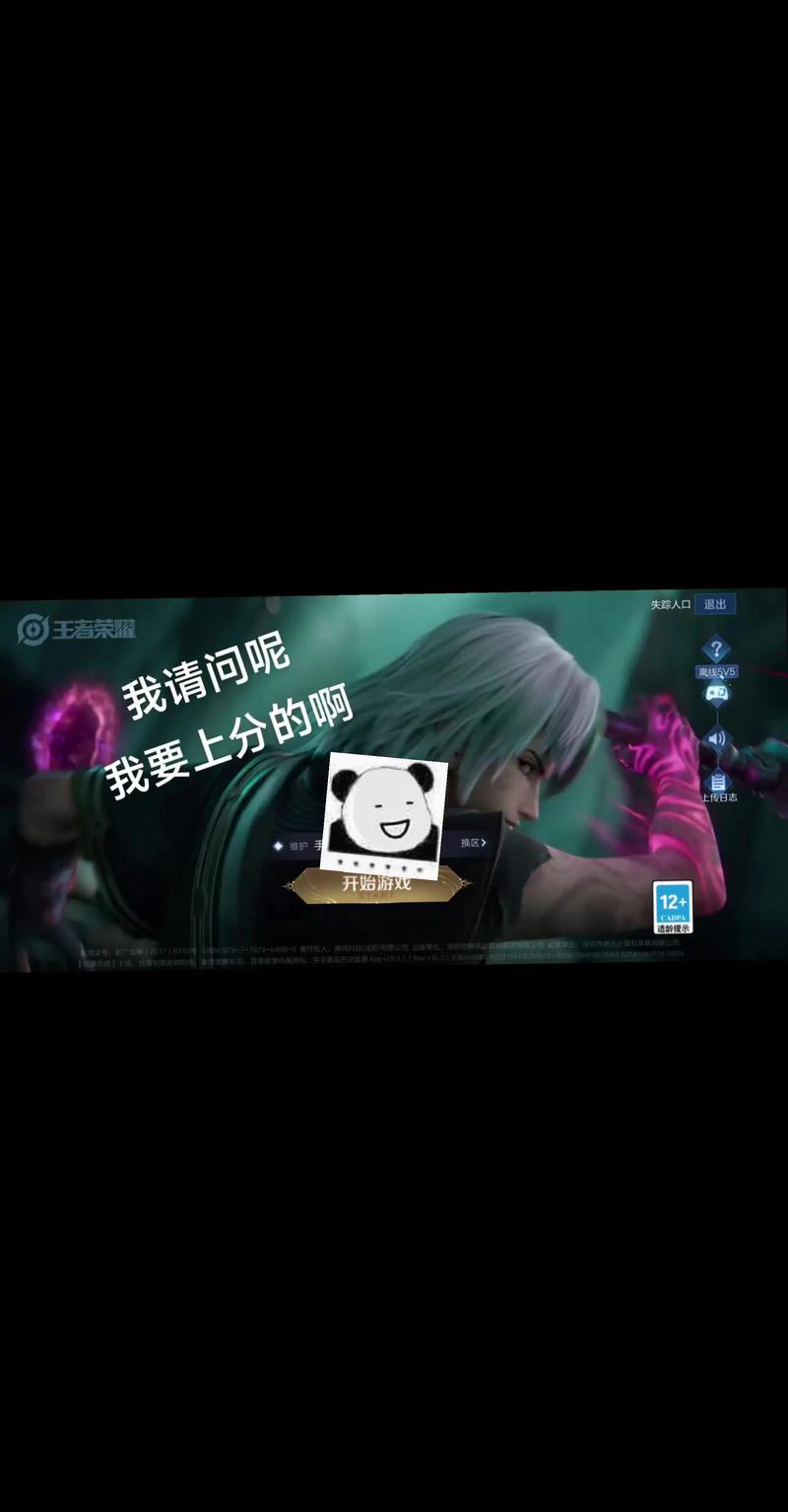 被耽误我上分官方网站：深度解析与关键策略