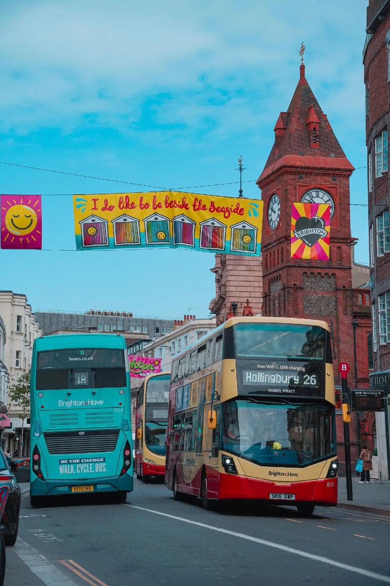 布莱顿市帝国官方网站的深度分析：机遇与挑战