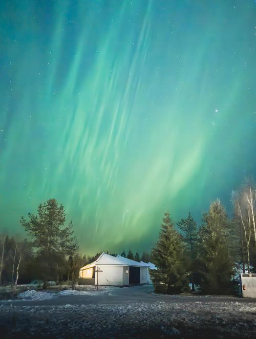 北极光：如何找到最佳下载渠道与平台分析