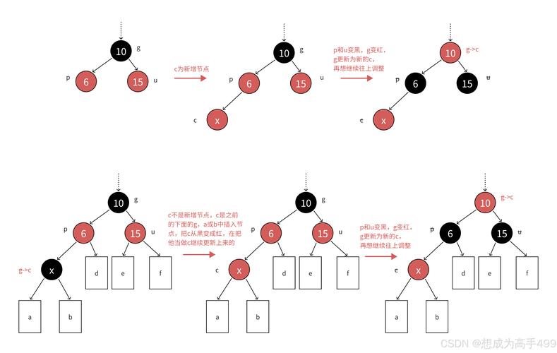 深入解析《我们的60天》下载渠道与玩家体验