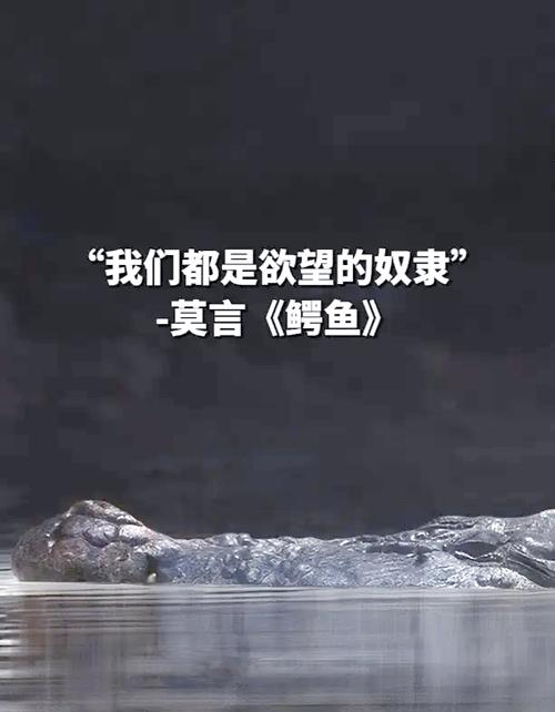 探索“让你烂醉如泥”官方正式版的魅力与挑战