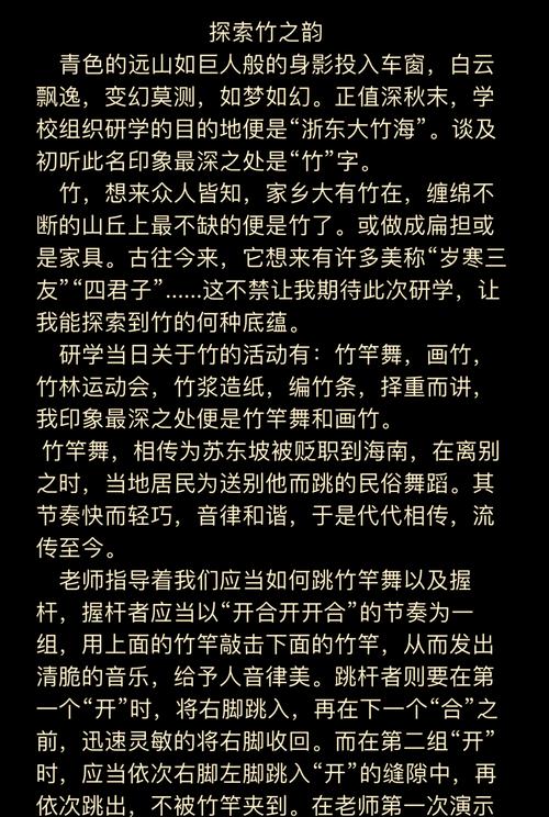 全面解析竹内的旅程版本大全：探索每一个精彩细节